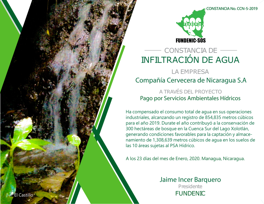 Constancia PSA No. CCN-5- 2019